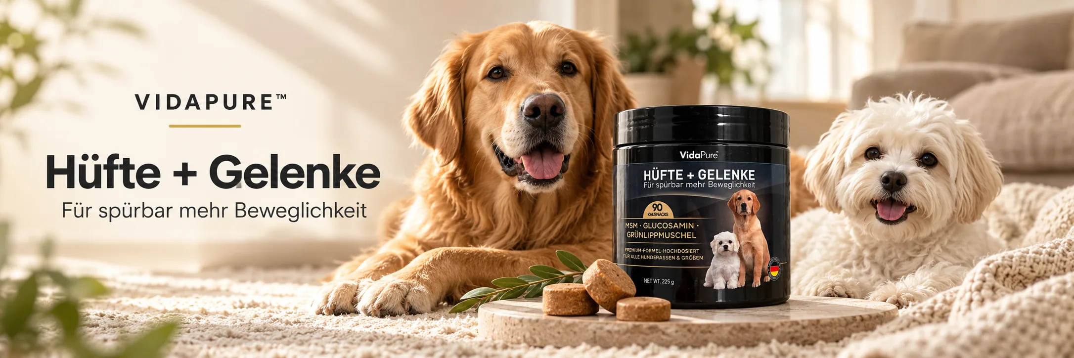 VIDAPURE Hüfte + Gelenke: Golden Retriever und weißer Malteser neben der schwarzen Dose mit 90 Kautabletten